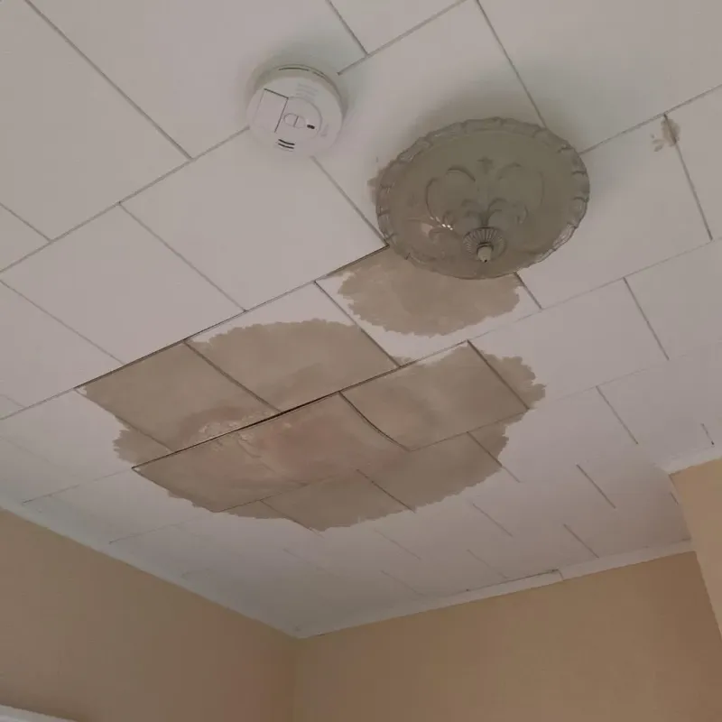 Ceiling Water Damage Repair in Hide-A-Way Lake, MS