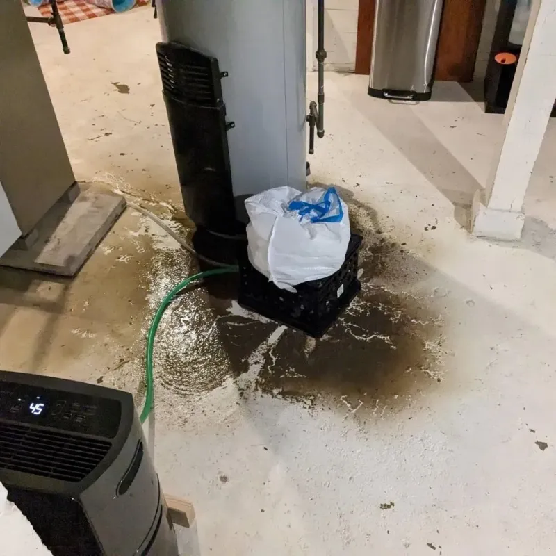 Sewage Backup Cleanup Service in Hide-A-Way Lake, MS